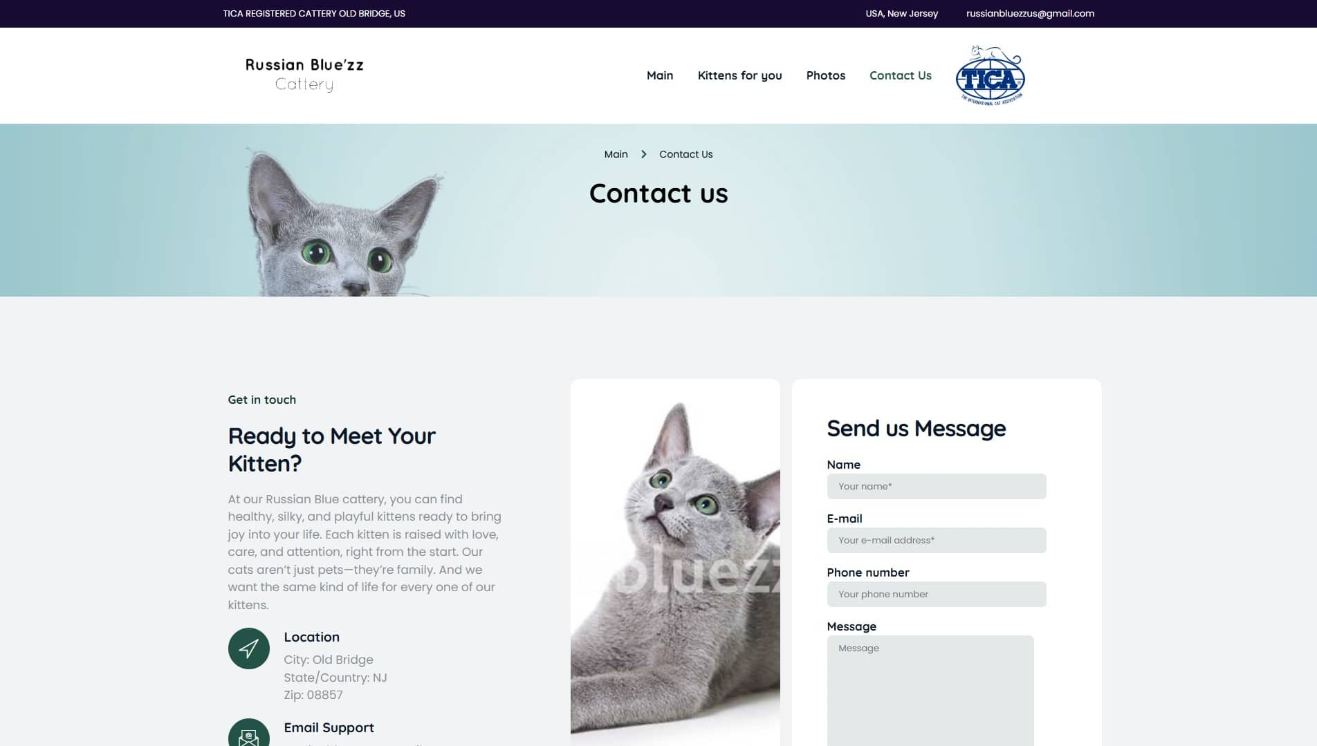 Russian Blue’zz Cattery — новый дизайн, брендирование и SEO