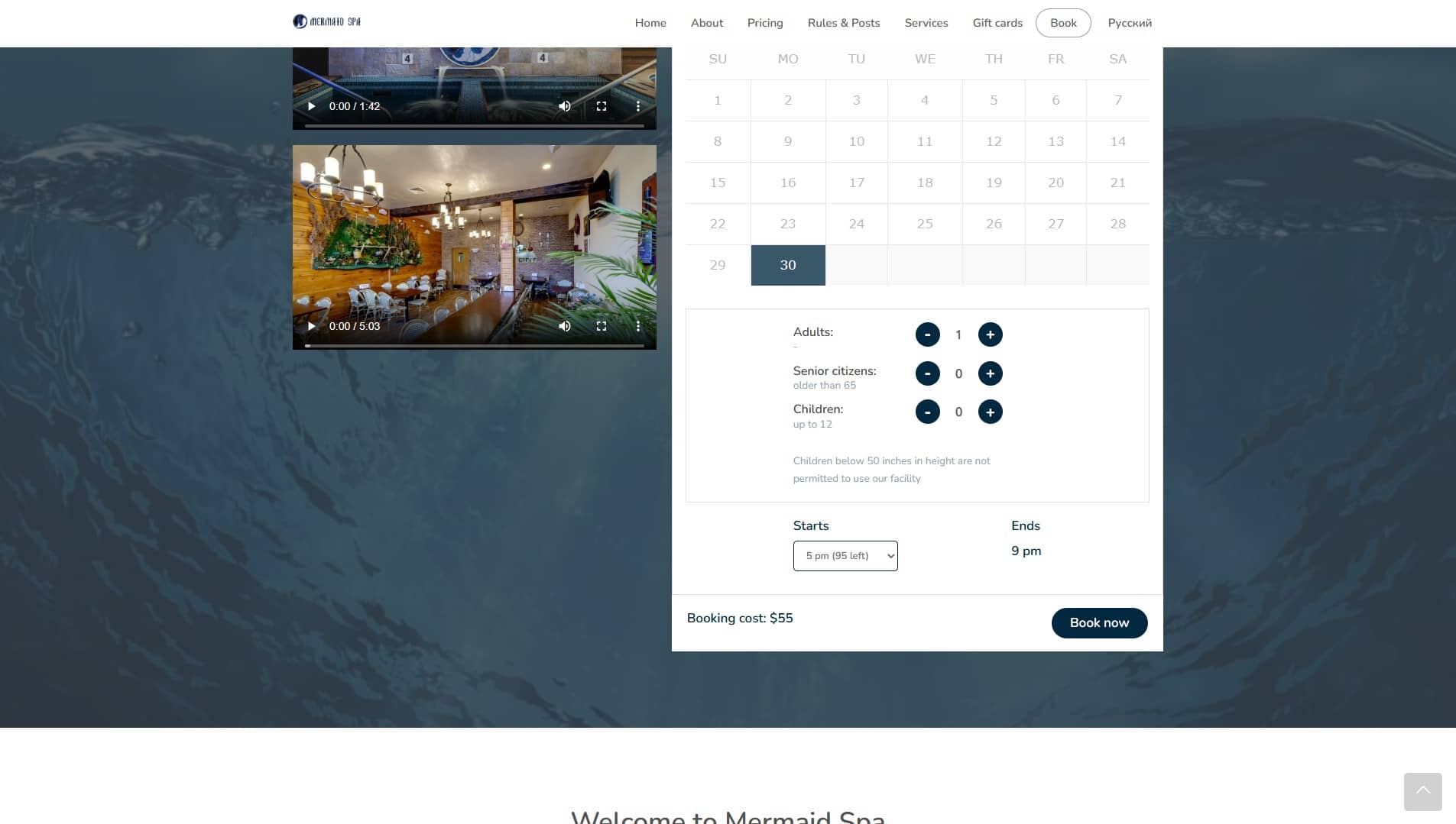 Mermaidspa.us SPA Booking & CRM System